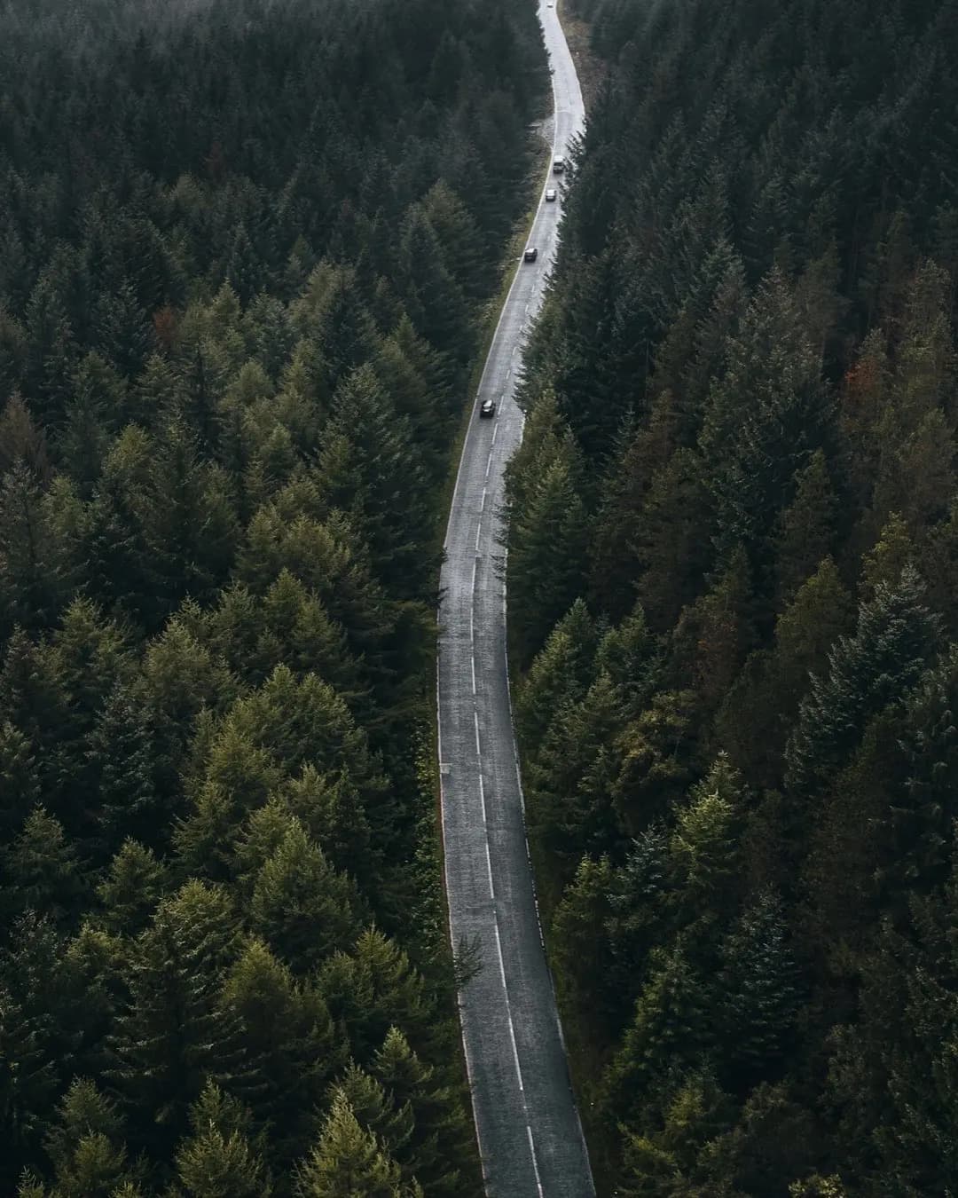 Un camino de dos carriles visto desde el aire, cruzando un bosque denso y perdiéndose en la niebla.